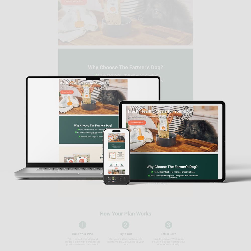 Portfolio-2